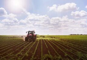 Tractor on soy field spraying