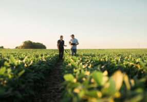 Field