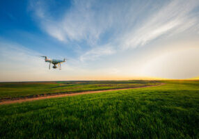 drone over early stage corn field